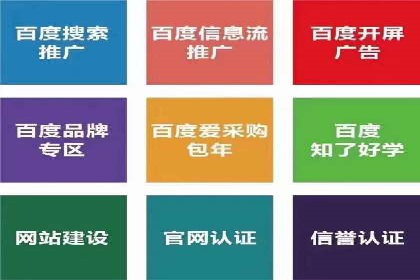 百度竞价推广的技巧与策略：某企业成功案例分享